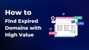 Read more about the article How to Find Expired Domains with High Value